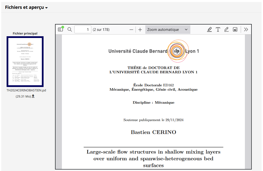 CERINO-HALtheses