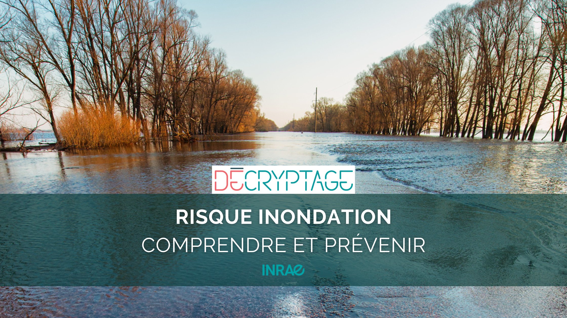 Decoding - Flood risk, understanding and anticipating